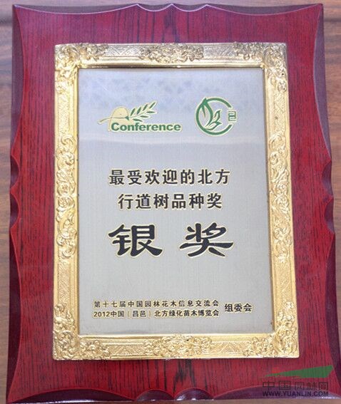 第十七届中国园林花木信息交流会北方行道树品种奖